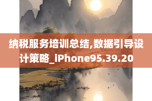 纳税服务培训总结,数据引导设计策略_iPhone95.39.20