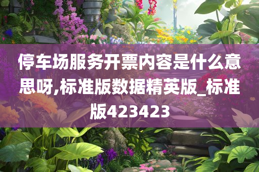 停车场服务开票内容是什么意思呀,标准版数据精英版_标准版423423