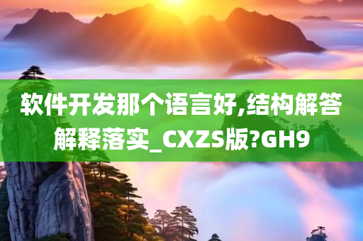 软件开发那个语言好,结构解答解释落实_CXZS版?GH9