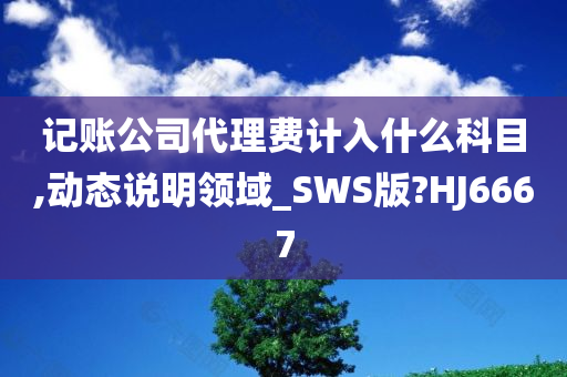 记账公司代理费计入什么科目,动态说明领域_SWS版?HJ6667