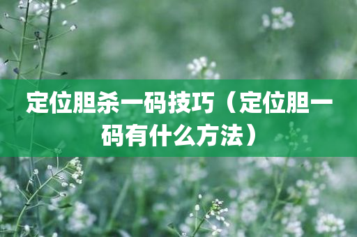 定位胆杀一码技巧（定位胆一码有什么方法）