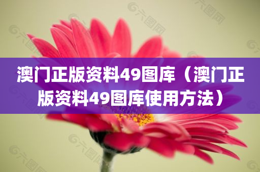 澳门正版资料49图库（澳门正版资料49图库使用方法）