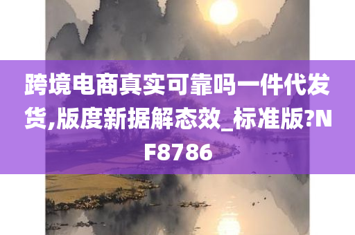 跨境电商真实可靠吗一件代发货,版度新据解态效_标准版?NF8786