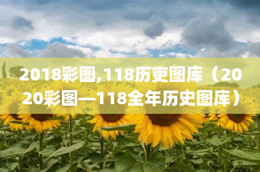 2018彩图,118历吏图库（2020彩图―118全年历史图库）