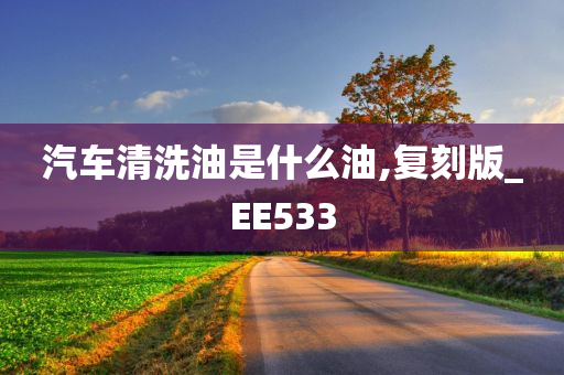 汽车清洗油是什么油,复刻版_EE533