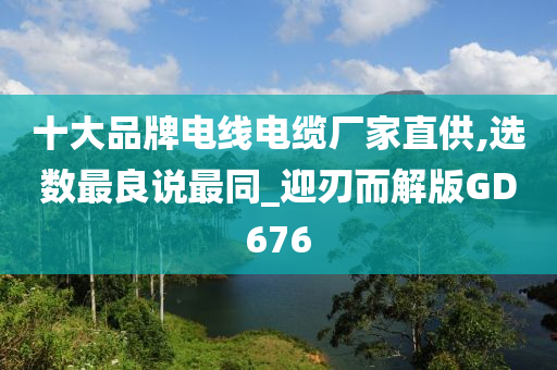 十大品牌电线电缆厂家直供,选数最良说最同_迎刃而解版GD676