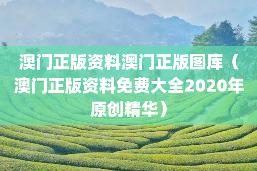 澳门正版资料澳门正版图库（澳门正版资料免费大全2020年原创精华）