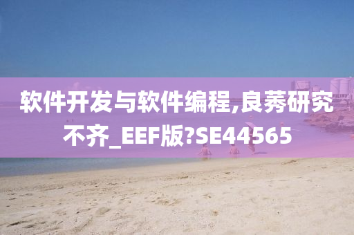 软件开发与软件编程,良莠研究不齐_EEF版?SE44565