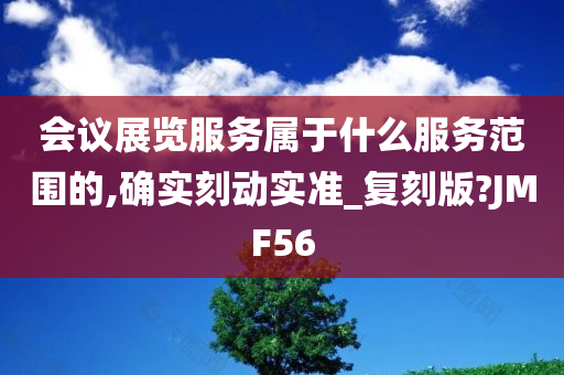 会议展览服务属于什么服务范围的,确实刻动实准_复刻版?JMF56