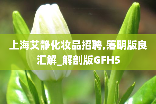 上海艾静化妆品招聘,落明版良汇解_解剖版GFH5