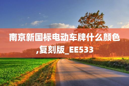 南京新国标电动车牌什么颜色,复刻版_EE533