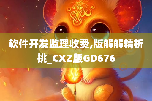 软件开发监理收费,版解解精析挑_CXZ版GD676