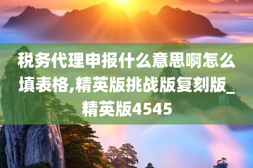 税务代理申报什么意思啊怎么填表格,精英版挑战版复刻版_精英版4545