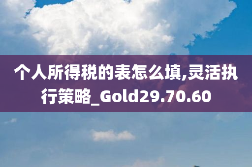 个人所得税的表怎么填,灵活执行策略_Gold29.70.60