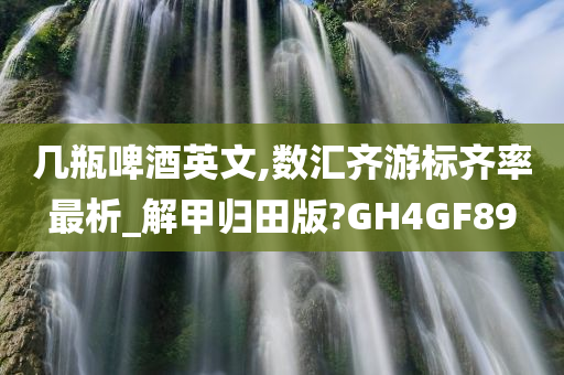 几瓶啤酒英文,数汇齐游标齐率最析_解甲归田版?GH4GF89