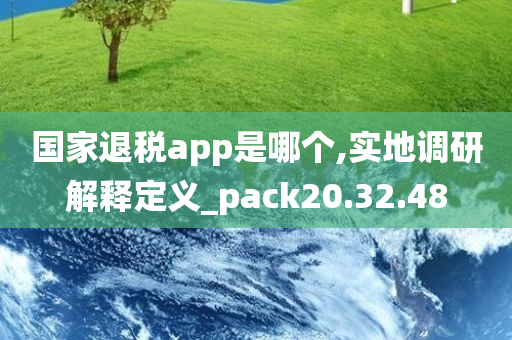 国家退税app是哪个,实地调研解释定义_pack20.32.48