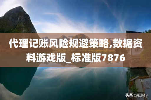 代理记账风险规避策略,数据资料游戏版_标准版7876