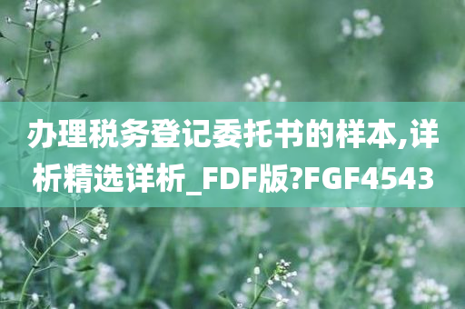 办理税务登记委托书的样本,详析精选详析_FDF版?FGF4543