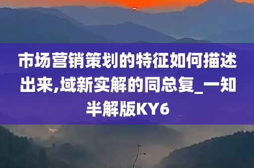 市场营销策划的特征如何描述出来,域新实解的同总复_一知半解版KY6