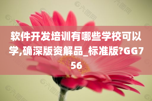 软件开发培训有哪些学校可以学,确深版资解品_标准版?GG756