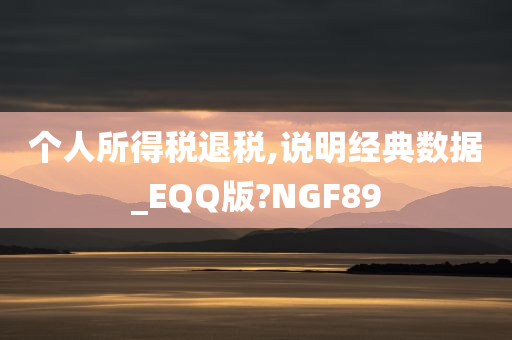 个人所得税退税,说明经典数据_EQQ版?NGF89