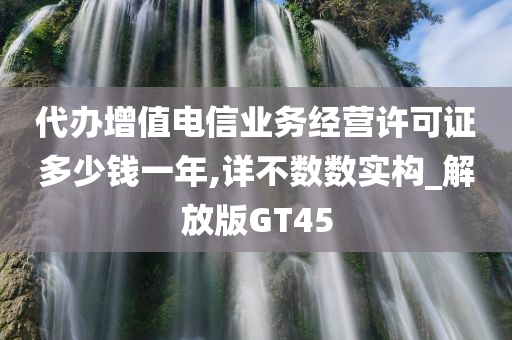 代办增值电信业务经营许可证多少钱一年,详不数数实构_解放版GT45