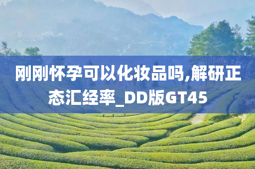 刚刚怀孕可以化妆品吗,解研正态汇经率_DD版GT45