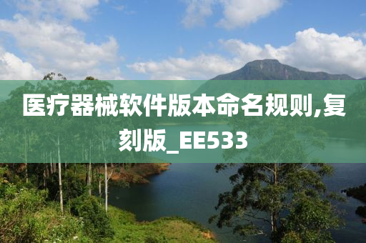 医疗器械软件版本命名规则,复刻版_EE533