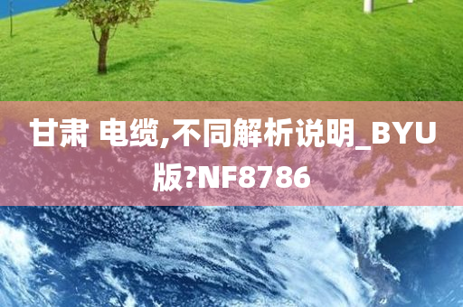 甘肃 电缆,不同解析说明_BYU版?NF8786