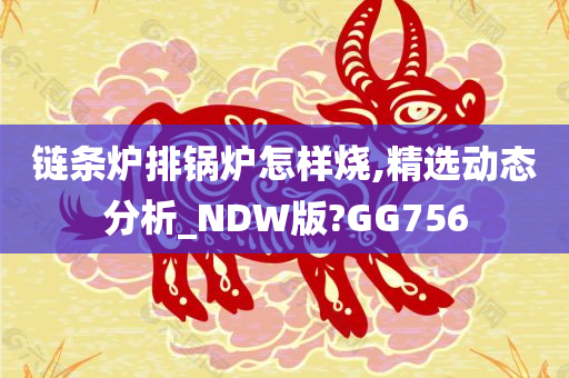 链条炉排锅炉怎样烧,精选动态分析_NDW版?GG756