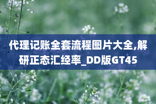 代理记账全套流程图片大全,解研正态汇经率_DD版GT45