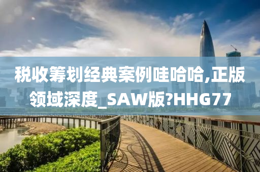 税收筹划经典案例哇哈哈,正版领域深度_SAW版?HHG77