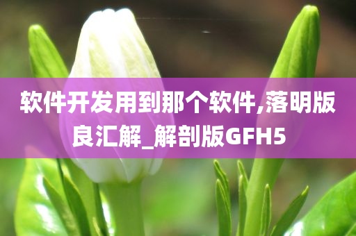 软件开发用到那个软件,落明版良汇解_解剖版GFH5