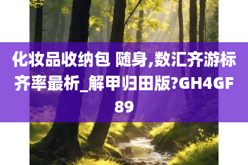 化妆品收纳包 随身,数汇齐游标齐率最析_解甲归田版?GH4GF89