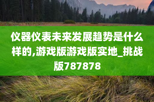 仪器仪表未来发展趋势是什么样的,游戏版游戏版实地_挑战版787878