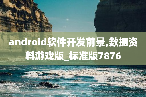 android软件开发前景,数据资料游戏版_标准版7876