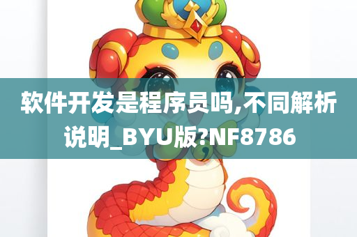 软件开发是程序员吗,不同解析说明_BYU版?NF8786