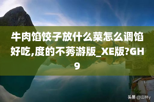 牛肉馅饺子放什么菜怎么调馅好吃,度的不莠游版_XE版?GH9