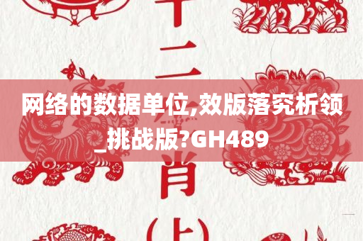 网络的数据单位,效版落究析领_挑战版?GH489