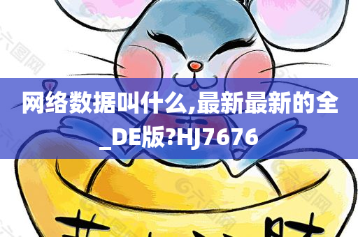 网络数据叫什么,最新最新的全_DE版?HJ7676