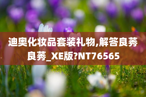 迪奥化妆品套装礼物,解答良莠良莠_XE版?NT76565