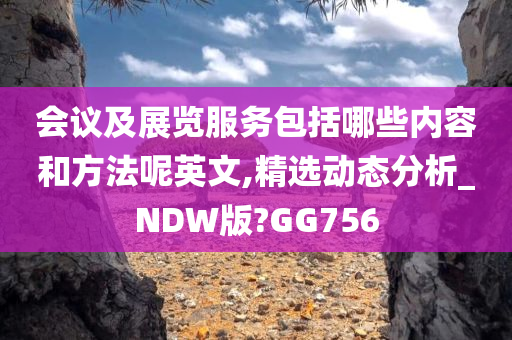 会议及展览服务包括哪些内容和方法呢英文,精选动态分析_NDW版?GG756