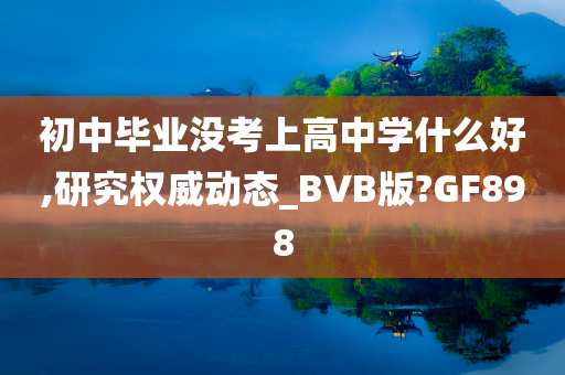 初中毕业没考上高中学什么好,研究权威动态_BVB版?GF898