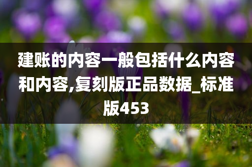 建账的内容一般包括什么内容和内容,复刻版正品数据_标准版453