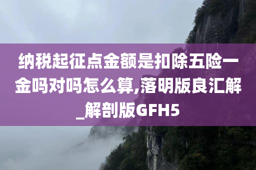 纳税起征点金额是扣除五险一金吗对吗怎么算,落明版良汇解_解剖版GFH5