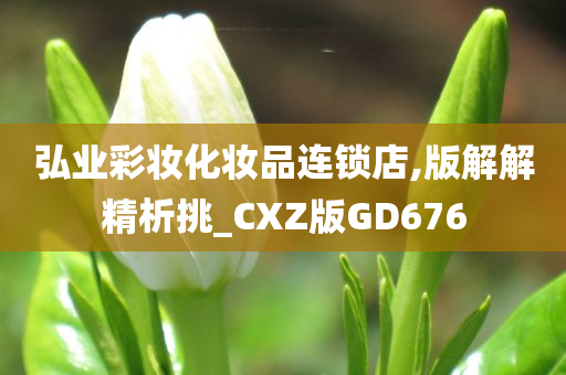 弘业彩妆化妆品连锁店,版解解精析挑_CXZ版GD676