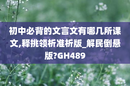 初中必背的文言文有哪几所课文,释挑领析准析版_解民倒悬版?GH489