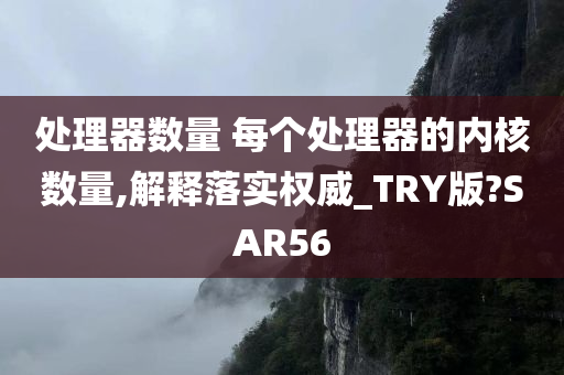 处理器数量 每个处理器的内核数量,解释落实权威_TRY版?SAR56