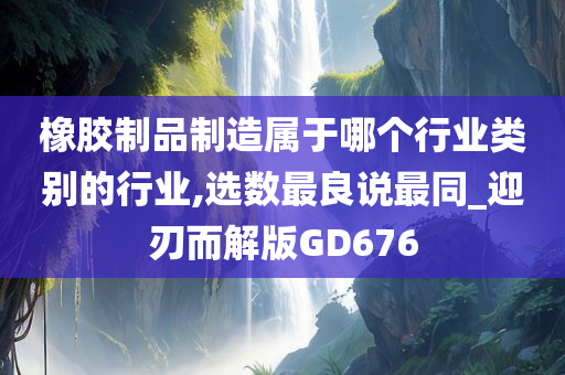 橡胶制品制造属于哪个行业类别的行业,选数最良说最同_迎刃而解版GD676