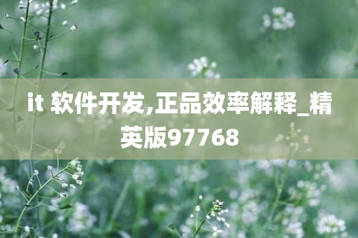 it 软件开发,正品效率解释_精英版97768